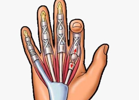 9c935019449919524a4860385304772d