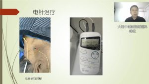 screenshot_004_be0d2a7c-e552-4ec5-bde8-3f5eb7b847cb