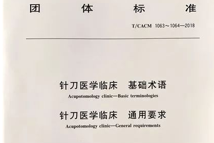 针刀医学临床–基础术语   中华中医药学会发布的针刀标准