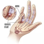 1bcbe3a6b3f401b8392d295444aa9d86